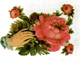 Online Wedding